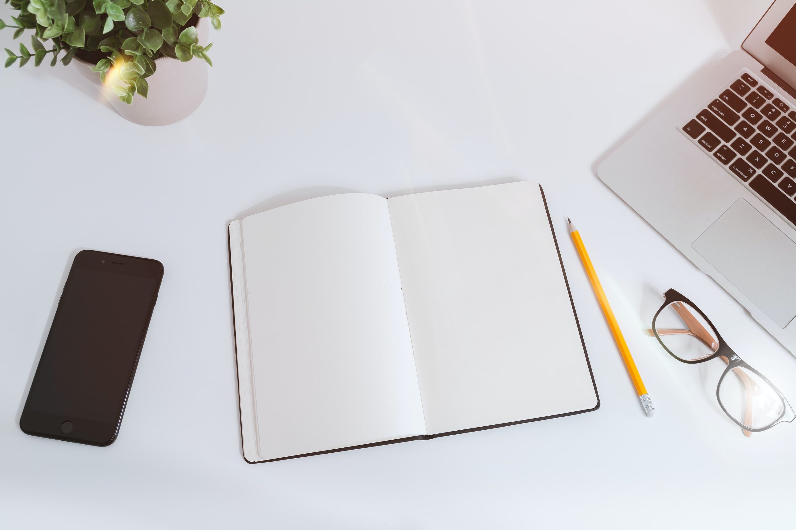 CDD, CDI… les conséquences du plagiat quand vous postulez à un job